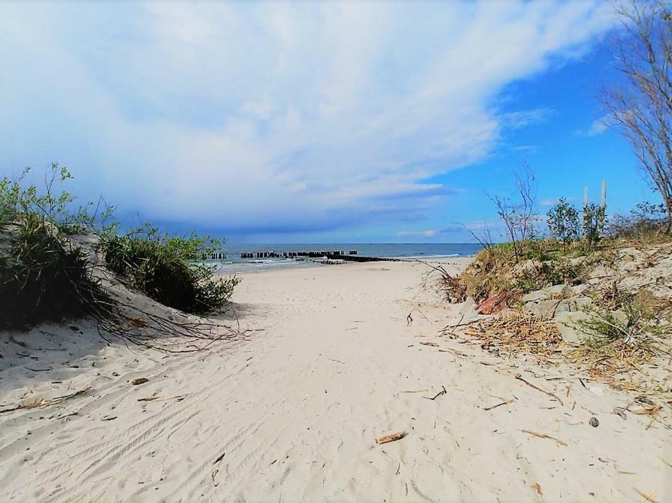 Marine Gardenia Seaside Apartman Dziwnów Kültér fotó